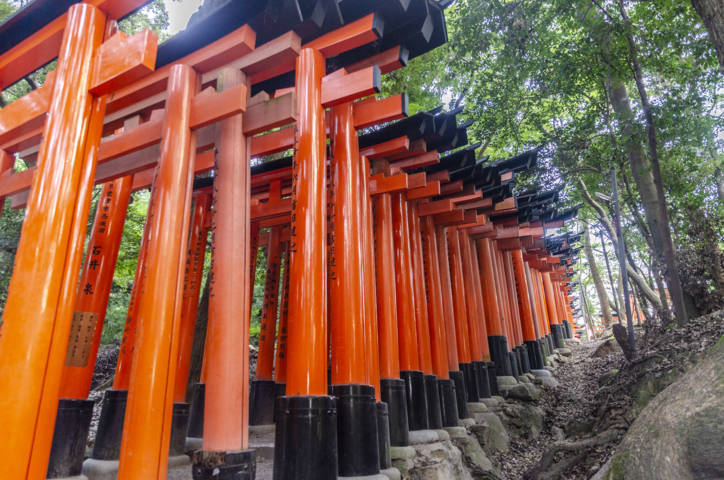 119 - Kyoto - santuario de Fushimi Inari-Taisha